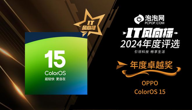 2024年度评选：年度卓越奖凯发k8入口【IT风向标】(图8)